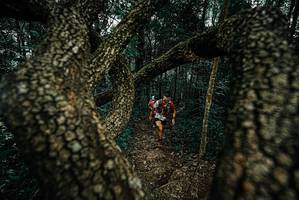 BIB: 
                            <button type="button" onclick="openModal(25692398)" class="btn btn-primary btn-sm float-right btn-popup" data-toggle="modal" data-target=".modal-high-quality">
                        <i class="fas fa-shopping-cart"></i> Add to Cart
                    </button>
                                            <button type="button" onclick="isThisMe(25692398, true)" class="btn btn-success btn-sm float-right btn-popup btn-isme hidden" data-toggle="tooltip" data-placement="bottom" title="นี่คือรูปของคุณใช่ไหม คลิกที่นี่เพื่อเอาเข้าอัลบั้ม">
                        <i class="fas fa-plus"></i> Add to album
                    </button>
                    <button type="button" onclick="isThisMe(25692398, false)" class="btn btn-warning btn-sm float-right btn-popup btn-isnotme hidden">
                        <i class="fas fa-ban"></i> Remove from album
                    </button>